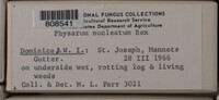 Image Associated With the Occurence